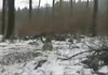 Levitating girl in russian woods