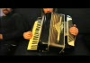 Gecko on an Accordion