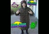 Funny Dingles - Textin While im Drivin