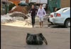 Lady GaGa's Purse