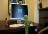 Scary Maze Game Prank Gecko