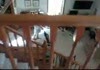 Greatest Freak Out Ever 7