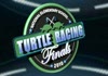 turtle race