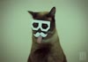 Dubstep cat!