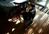 Dog Hates the Finger