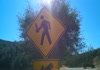 Caution Stoner's Crossing with Bongs