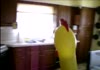 Hungry Chicken