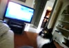 A convo with my dog