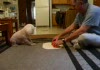 Peewee and the shell game