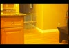 Ninja Cat