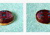Donut Mitosis