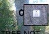TREE 404