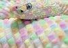 Amazing Snake