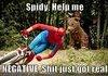 Spidy