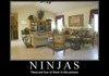 Ninjas?