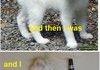 title