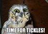tickle time