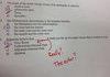 easy test