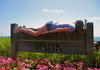 PLANKING