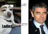 look similar to me