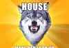 Courage wolf 3