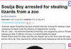 What is Soulja Boy doing nowadays..