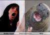 lolrus found mom?