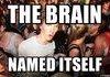 BUT WHO WAS BRAIN?