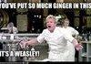 Ginger