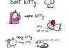 Kitty