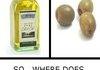 OILS