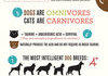 Cats vs. Dogs