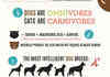 cats v.s. dogs