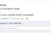 Stupid chameleon