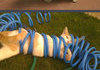 Cats stuck