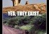 The Lion King