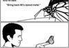 The Metal butterfly