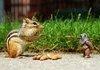 do not touch my nuts!