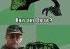 how am i here?