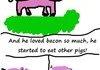 Let me tell you a story, about the pig!