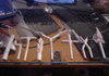 My Creations
