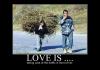 ~LOVE IS~