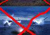 Learn to photoshop!