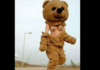 Teddy Bear