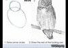 How to draw an owl