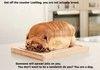 Bread dog