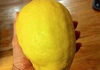Lemons