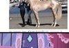 No Rarity your the most beautiful PONY