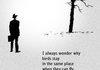 quote of the day