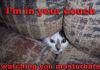 i am in ur couch